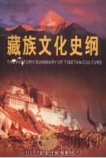 藏族文化史纲 1999 PDF电子版封面 7806085238 索代著