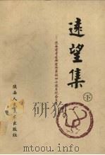远望集:陕西省考古研究所华诞四十周年纪念文集 下 1998 PDF电子版封面 753681139X