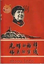 光辉的榜样  伟大的实践（ PDF版）