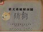 猪、犬系统解剖图  上（1953 PDF版）