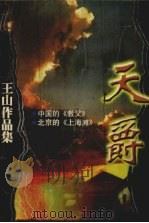 天爵 1997 PDF电子版封面 7805954119 王山著
