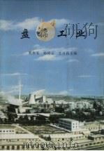 盘锦工业 1998 PDF电子版封面 7810543687 贺传义等主编