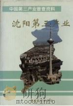 中国第三产业普查资料:沈阳第三产业 1994 PDF电子版封面 7503717505 沈阳市第三产业普查办公室编