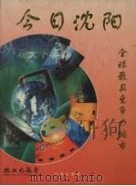今日沈阳 全球最具竞争力城市 图集 1999 PDF电子版封面 7806491740 仲肇明主编
