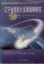 辽宁省信息化发展战略研究 1999 PDF电子版封面 7561038615 辽宁省信息化工作领导小组办公室编