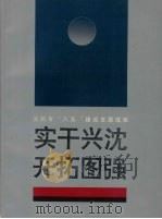 实干兴沈  开拓图强：沈阳市“八五”建设发展成就（ PDF版）