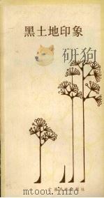 黑土地印象 PDF电子版封面 10138·86 李逊著