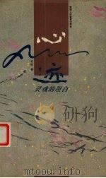 心迹 灵魂的坦白 1996 PDF电子版封面 7541965472 石匠著