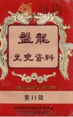 盘龙文史资料  第11辑  纪念盘龙区建区四十周年专辑（1996 PDF版）
