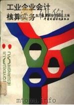 工业企业会计核算实务 1993 PDF电子版封面 7500521316 张启超等编著