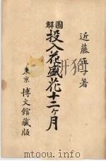 图解投入花盛花十二个月（ PDF版）