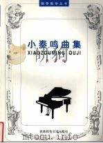 小奏鸣曲集 1998 PDF电子版封面 7562115982 吕德玉编