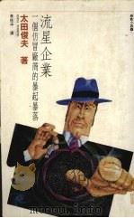 流星企业:一个仿冒厂商的暴起暴落 1989.01 PDF电子版封面 太田俊夫著