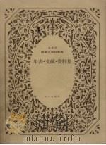 服装大百科事典 别卷资料集:年表·文献·资料集 增补版 1983 PDF电子版封面