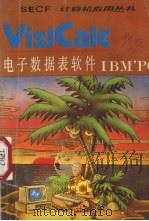 visicalc电子数据表软件（ PDF版）