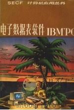 电子数据表软件 IBM‘PC（ PDF版）