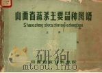 山西省蔬菜主要品种图谱 上 1960 PDF电子版封面 山西省农业科学院编