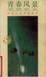 青春风景（1993 PDF版）