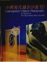 中国现代摄影沙龙'85 1985 PDF电子版封面 余成德,杨绍明编辑