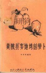 黄陂县麦地塆的萝卜 1956 PDF电子版封面 T16106·28 任伯黄编著