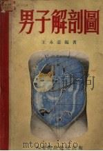 男子解剖图 1952 PDF电子版封面 王永豪编著