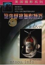 室内静物摄影技巧 1999 PDF电子版封面 7531422298 (美)加里·珀韦勒著;杨迺卿,陈宇译
