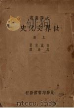 世界文化史  上（ PDF版）
