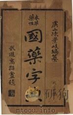 本草药性国药字典（ PDF版）