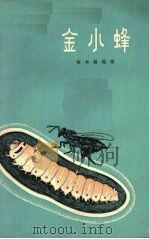 金小蜂（1964 PDF版）