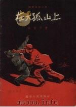 在大孤山上  防奸反特小说（1955 PDF版）