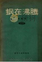 钢在沸腾 散文集 1958 PDF电子版封面 10090·340 陈淼著