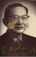 胡景南文集 1991 PDF电子版封面 9623010885 胡景南纪念委员会编
