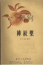 种板栗（1960 PDF版）