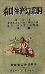 茶叶生产与采购（1959 PDF版）