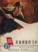 英雄驯服野马炉（1965 PDF版）