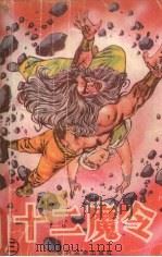 十二魔令 第3册 1988.08 PDF电子版封面 7504805912 卧龙生著