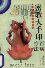 密教大手印百病疗法 1994 PDF电子版封面 7504424781 程右编