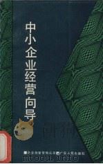 中小企业经营向导 1987 PDF电子版封面 7218000037 刘世萱,罗文斌,陈鸿宇等编著