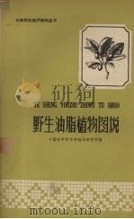 野生油脂植物图说（1959 PDF版）