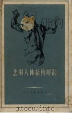 艺用人体结构解剖（1959 PDF版）
