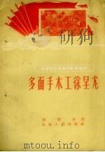 多面手木工徐呈龙 1958 PDF电子版封面 T3099·186 张勤朴作