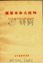 抓紧革命大批判  有关革命大批判的文章和经验选编（1970 PDF版）