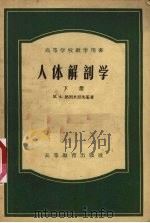 人体解剖学 下 1956 PDF电子版封面 14010·3 M.A.格烈米亚茨基著