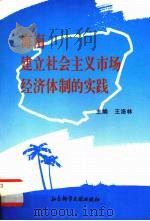 海南建立社会主义市场经济体制的实践 1997 PDF电子版封面 7800508951 王洛林主编