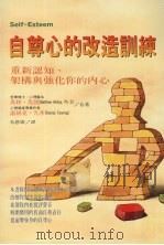 自尊心的改造训练 1997 PDF电子版封面 9575296559 (美)马修·马凯,(美)派屈克·凡宁著;朱恩广译