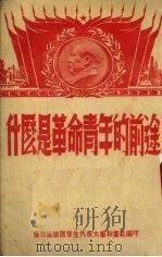 什么是革命青年的前途（ PDF版）