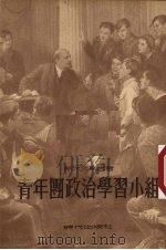 青年团政治学习小组 1953 PDF电子版封面 (苏)斯米尔诺夫(И.Смирнов)撰;林秀译