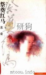 祭奠红马（1994 PDF版）