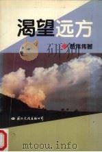 渴望远方（1994 PDF版）