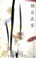 独自在家（1998 PDF版）